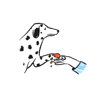 blessure illustration